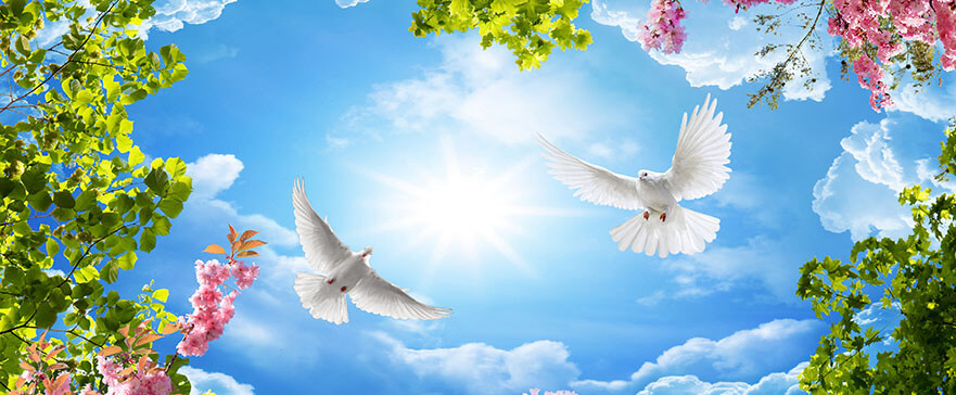 3d sky and bird wallpaper background - The Friends of Israel Gospel Ministry