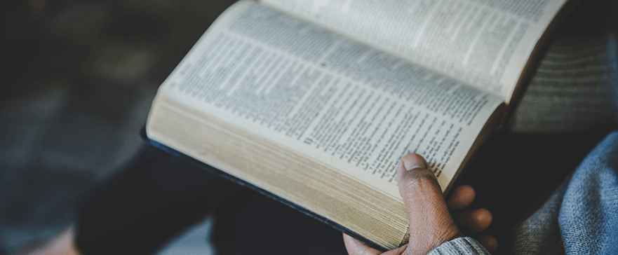 person holding open Bible